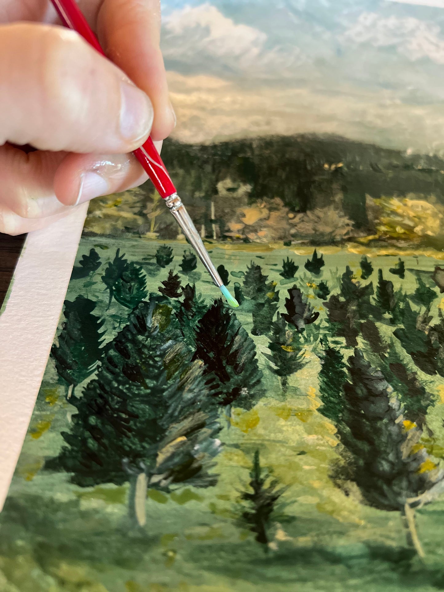 "Little Tree Farm"